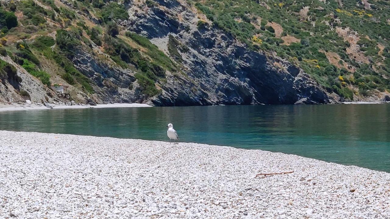 Villa With Aegean Views Akhladherí Dış mekan fotoğraf